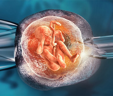 IVF Treatment in Vadodara